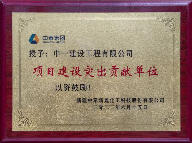 項(xiàng)目建設(shè)突出貢獻(xiàn)單位